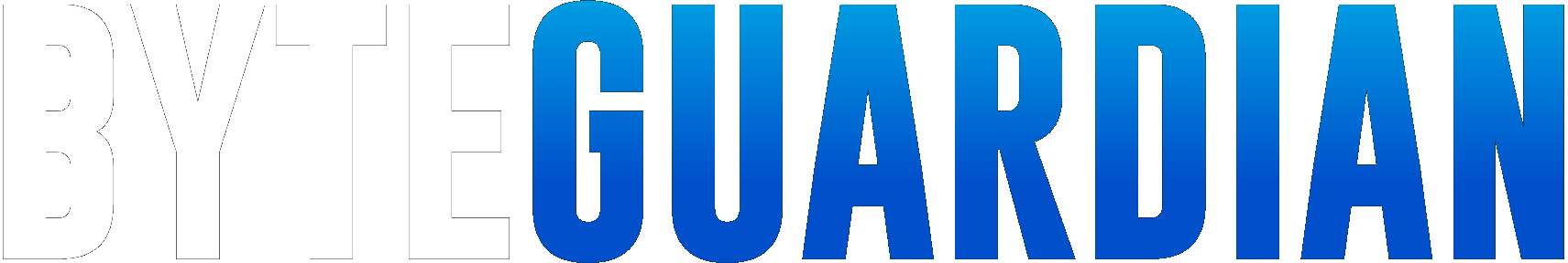 Byteguardian Text
